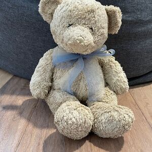 Teddy Bear with Beanies